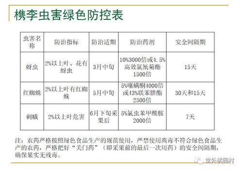 桐乡槜李香满园 农技专家张杰深入桃园村开展品质提升与技术推广培训