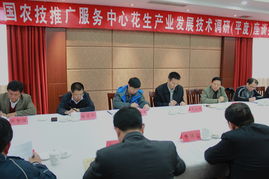 技术推广服务中心 连接创新与应用的桥梁